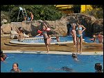 Thu 31 Jul 2008 17:08:36 D30_8912.JPG 