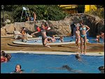 Thu 31 Jul 2008 17:08:38 D30_8913.JPG 