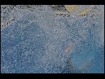 Thu 31 Jul 2008 17:37:36 D30_9115.JPG 