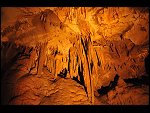 Tue 05 Aug 2008 13:36:28 D30_9512.JPG 