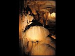 Tue 05 Aug 2008 13:37:31 D30_9518.JPG 