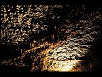Tue 05 Aug 2008 13:38:20 D30_9522.JPG 