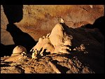 Tue 05 Aug 2008 13:42:32 D30_9537.JPG 