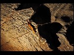 Tue 05 Aug 2008 13:48:12 D30_9550.JPG 