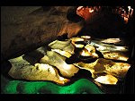Tue 05 Aug 2008 13:51:46 D30_9564.JPG 