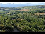 Tue 05 Aug 2008 17:44:34 D30_9682.JPG 
