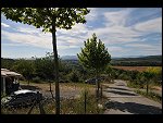 Tue 05 Aug 2008 17:46:12 D30_9686.JPG 