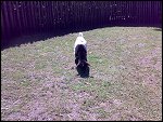 Sun 11 May 2008 13:50:28 11052008379.JPG 