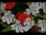 Wed 09 Jan 2008 17:36:58 D30_1153.JPG 