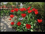 Wed 23 Apr 2008 13:11:12 D30_2671.JPG 