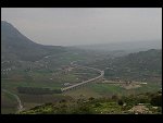 IMG_5919.JPG 