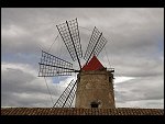 IMG_5949.JPG 
