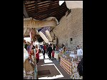 DSC08902.JPG 