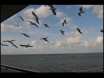 Fri 10 Jul 2009 19:40:26 D30_3846.JPG 