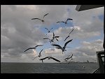 Fri 10 Jul 2009 19:40:52 D30_3849.JPG 