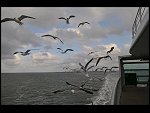 Fri 10 Jul 2009 19:41:24 D30_3852.JPG 