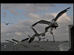 Fri 10 Jul 2009 19:41:38 D30_3854.JPG 