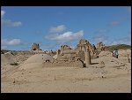 Sat 11 Jul 2009 16:11:42 D30_3982.JPG 