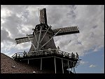Thu 13 Aug 2009 16:52:58 D30_5364.JPG 