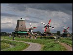 Thu 13 Aug 2009 17:05:42 D30_5383.JPG 