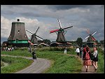 Thu 13 Aug 2009 17:12:24 D30_5401.JPG 