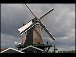 Thu 13 Aug 2009 17:15:26 D30_5407.JPG 