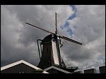 Thu 13 Aug 2009 17:16:18 D30_5409.JPG 