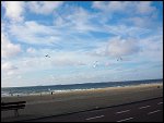 Tue 11 Aug 2009 17:34:32 CIMG0211.JPG 