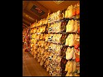 Thu 13 Aug 2009 15:25:16 CIMG0444.JPG 