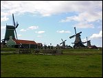 Thu 13 Aug 2009 15:50:22 CIMG0450.JPG 