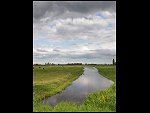Thu 13 Aug 2009 15:53:50 CIMG0453.JPG 