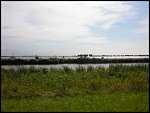Fri 14 Aug 2009 14:47:50 CIMG1082.JPG 