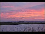 Sat 21 Feb 2009 19:13:32 D30_7731.JPG 