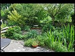 Sun 10 May 2009 13:52:38 D30_0606.JPG 