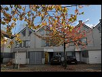 Wed 28 Oct 2009 16:11:24 D30_6590.JPG 