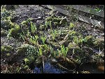 Mon 30 Mar 2009 10:11:48 D30_8353.JPG 