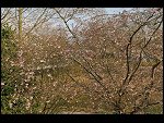 Sun 05 Apr 2009 17:26:16 D30_8474.JPG 