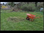 Sat 04 Apr 2009 16:27:02 D30_8371.JPG 
