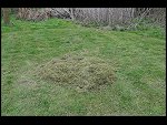 Sat 04 Apr 2009 16:27:18 D30_8373.JPG 