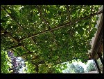 Wed 05 Aug 2009 13:02:02 D30_5030.JPG 