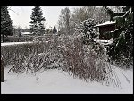 Sun 20 Dec 2009 15:45:16 D3S_0849.JPG 