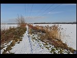 Sat 30 Jan 2010 14:50:30 D3S_2047.JPG 