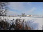 Sat 30 Jan 2010 14:59:52 D3S_2081.JPG 