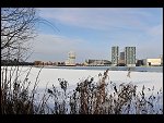 Sat 30 Jan 2010 15:00:04 D3S_2082.JPG 