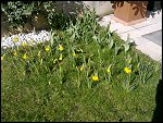 Fri 02 Apr 2010 14:53:16 02042010408.JPG 