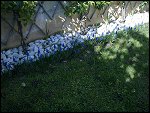 Fri 02 Apr 2010 14:53:38 02042010409.JPG 