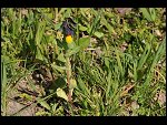 Sat 03 Apr 2010 09:36:44 D30_7823.JPG 