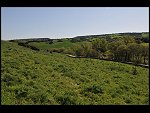 Sat 03 Apr 2010 09:37:14 D30_7825.JPG 
