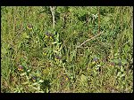 Sat 03 Apr 2010 09:41:18 D30_7830.JPG 