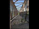 Sat 03 Apr 2010 09:43:53 D30_7835.JPG 